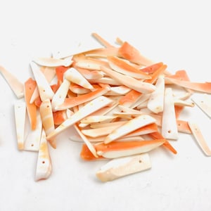 Drilled shells, 50 pcs, small pink shell, shell for crafts, jewelry creation, shell necklace, pink shell