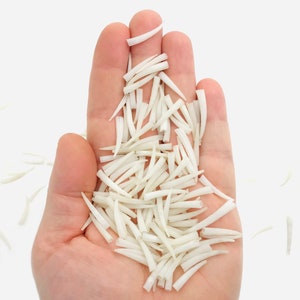 Peut inclure: Une main tenant une collection de petits objets blancs et pointus. Les objets sont disposés en tas lâche dans la paume, avec quelques-uns éparpillés autour de la main. Le fond est blanc uni.