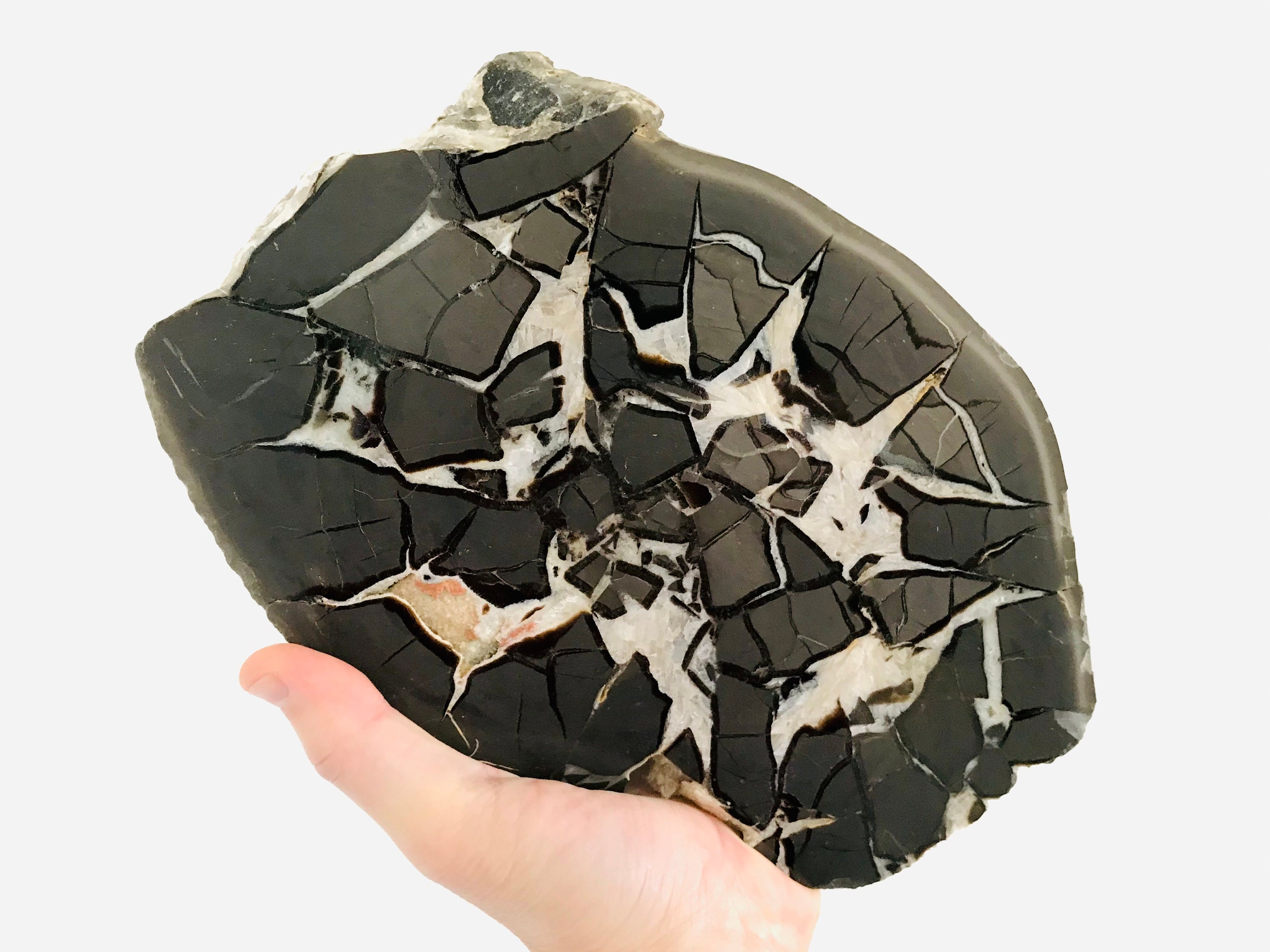 Bloc Septaria, 4 Kg, Cabinet de Curiosité, Minéraux, Septaria Drome, Minéraux Collection, Français, 