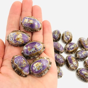 Grawerowana muszla, muszla kauri, porcelana, szafka z ciekawostkami, fioletowa muszla, mała muszla, rzeźbiona muszla, ciekawość, kolekcja