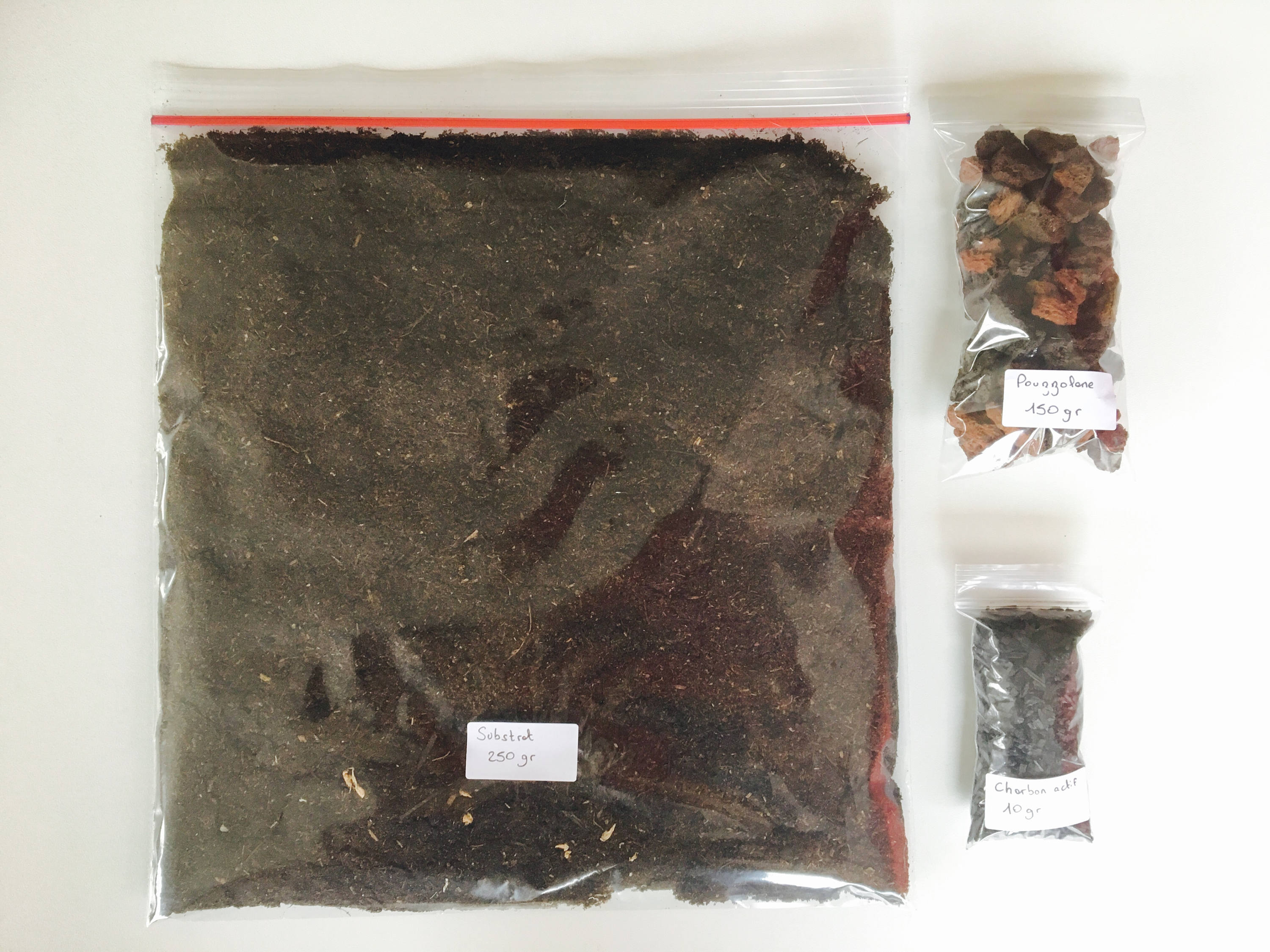 Terrarium kit terrarium kit activated charcoal terrarium Etsy