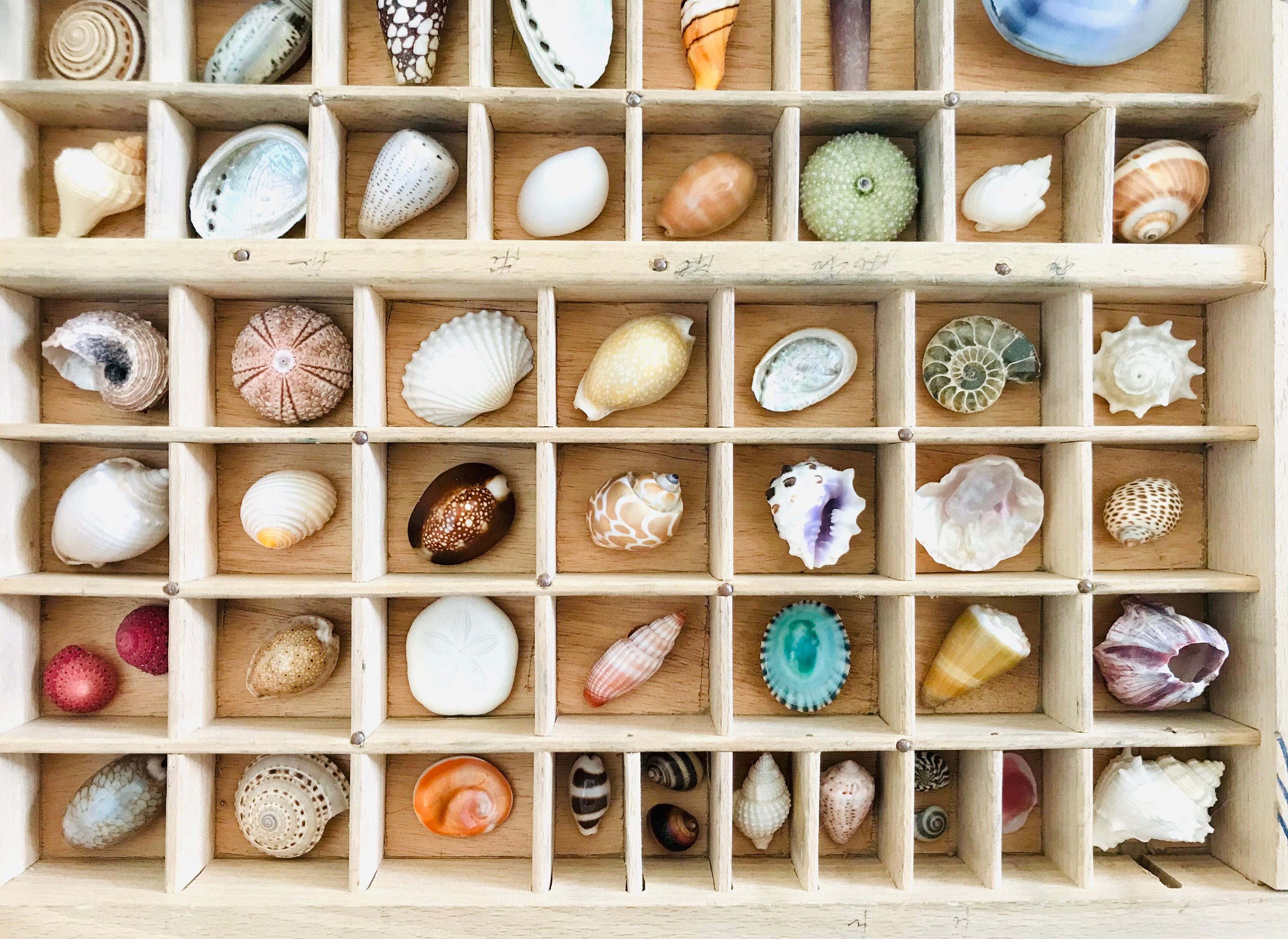 Armario de impresora shell decoración industrial casillero | Etsy