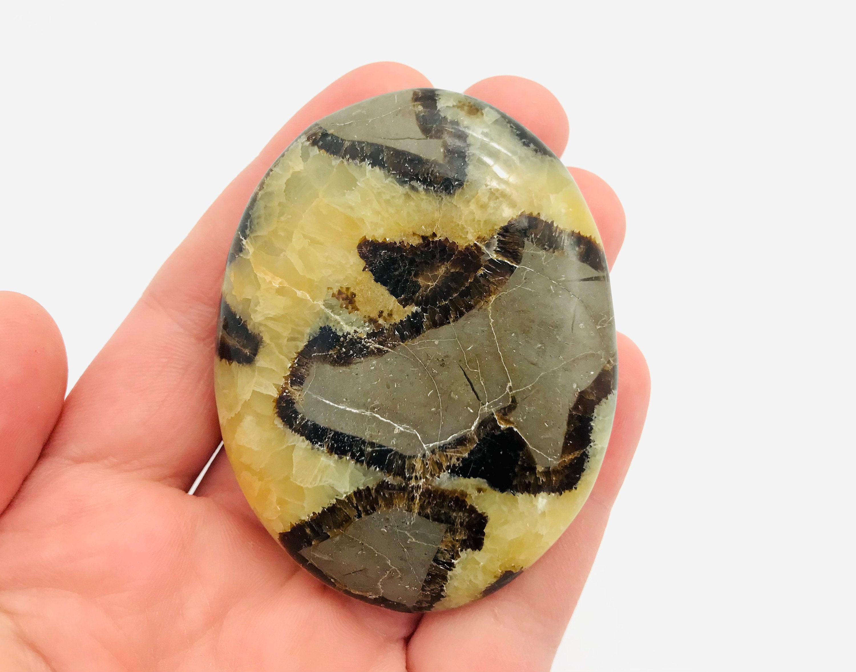 Septaria, Galet Septaria, Minéraux, Pierre Polie, Cabinet de Curiosité, Lithothérapie, Collection, J