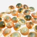 Perle Coquillage Oeil De Sainte Lucie Shiva Ovale 18-22 Mm - Blanc Beige Spirale - Neuf