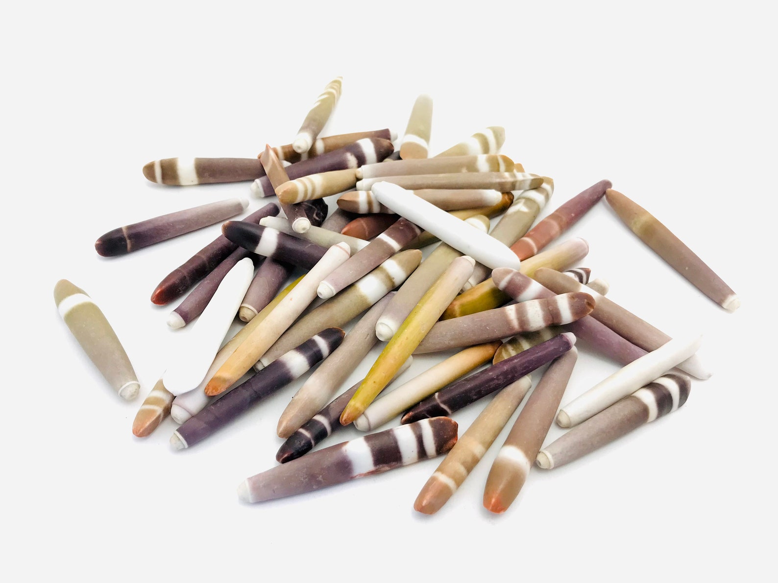 Épines d'oursin, grand crayon oursin, perle oursin, grandes épines d — free download
