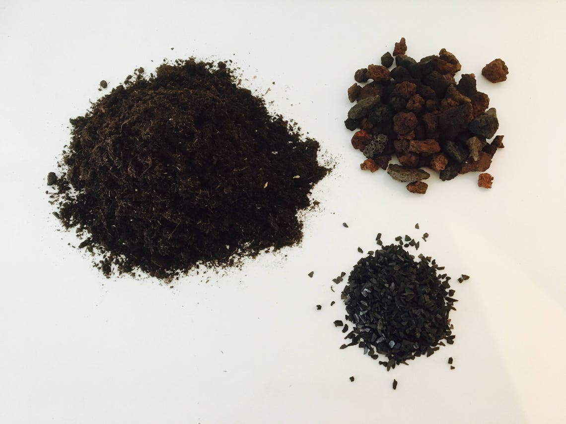 Terrarium kit terrarium kit activated charcoal terrarium Etsy