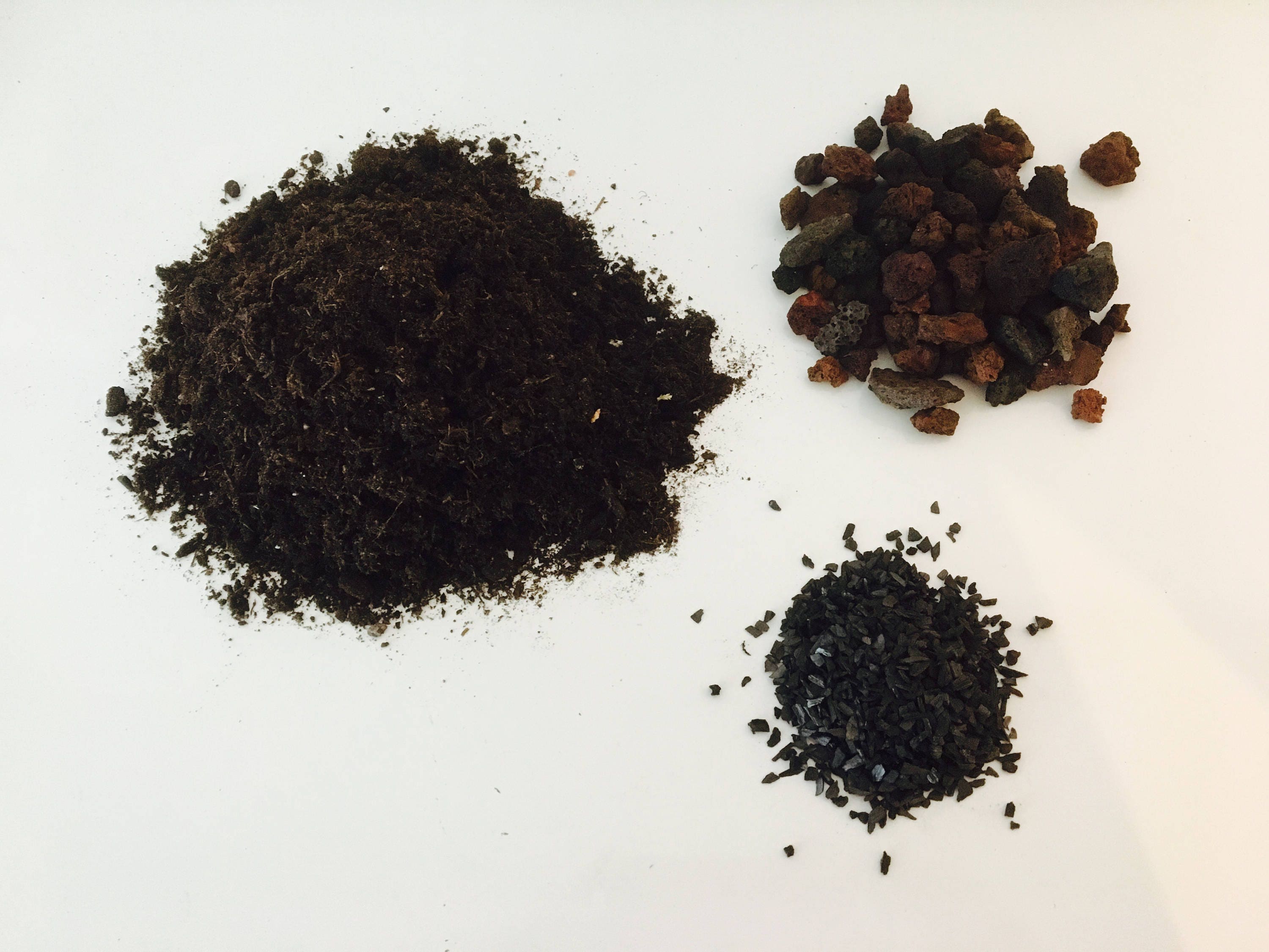 Terrarium kit terrarium kit activated charcoal terrarium Etsy