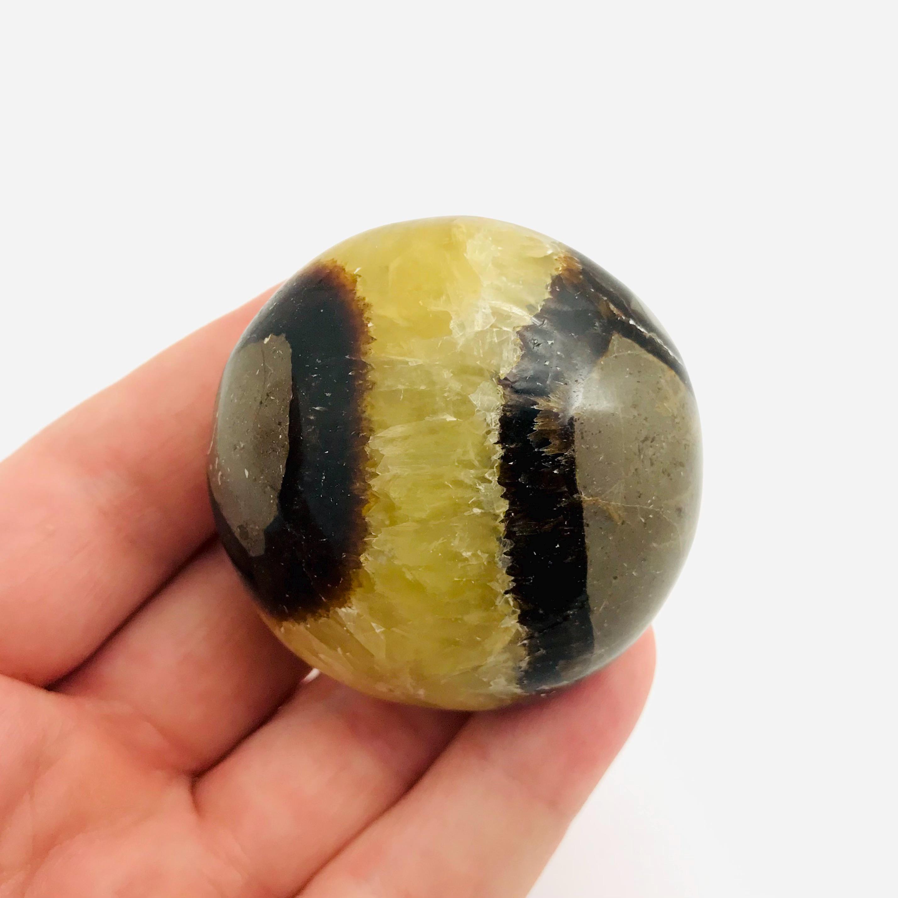 Septaria, septaria pebble, minerals, polished stone, cabinet of curiosities, lithotherapy, collection, yellow stone, septaria nodule, Madagascar