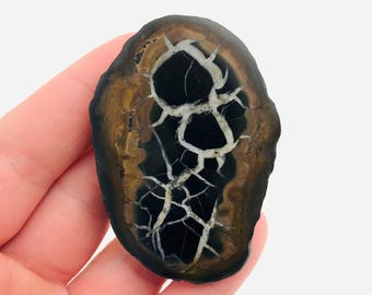 Septaria, septaria nodule, dragon stone, septaria Morocco, minerals, polished stone, cabinet of curiosities, lithotherapy, collection