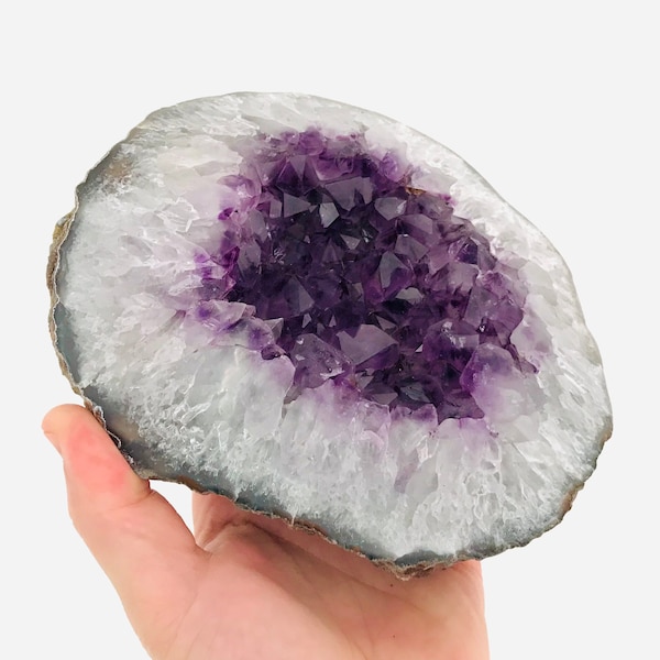 Uruguay Amethist Geode, 1,7 Kg, curiosakabinet, lithotherapie, amethist druse, natuursteen, cadeau idee, halfedelsteen