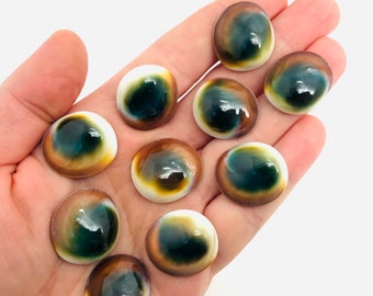 Shiva's eye, set of 10, shell cover, shell jewelry, lucky charm, cabinet of curiosities, lithotherapy, cat's eye, shell