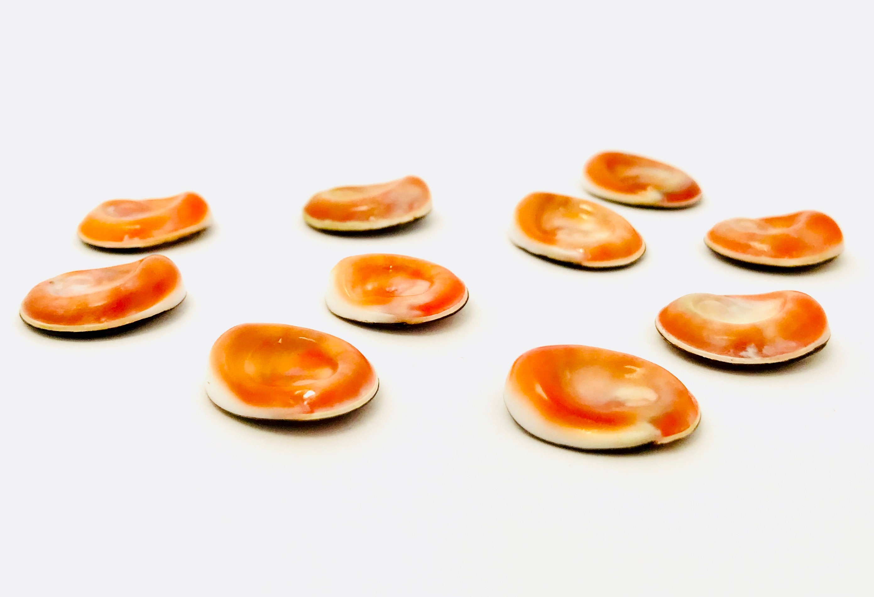 Œil de sainte lucie yeux sainte lucie œil de shiva | Etsy