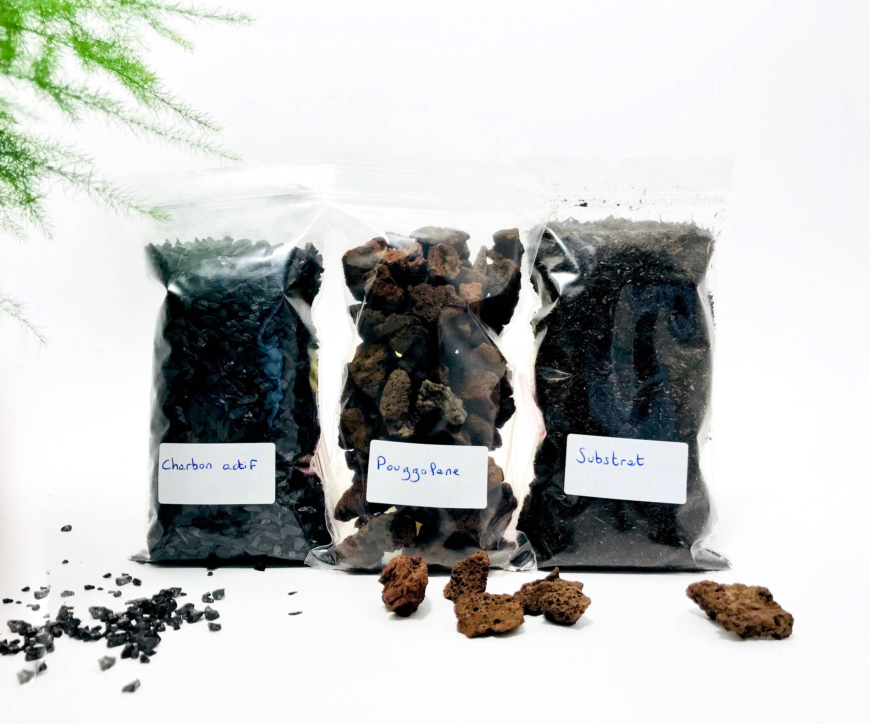 Terrarium kit terrarium kit activated charcoal terrarium Etsy