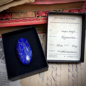 Lapis lazuli - Rariteitenkabinet - Mineralogische collectie - Mineralen - Lithotherapie - Origineel geschenk - Wunderkammer