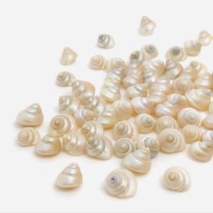Puede incluir: Una colección de pequeñas conchas nacaradas dispersas sobre una superficie blanca. Las conchas tienen forma de espiral y un brillo iridiscente sutil, reflejando toques de rosa, verde y azul. Las conchas varían en tamaño y están dispuestas de forma natural.