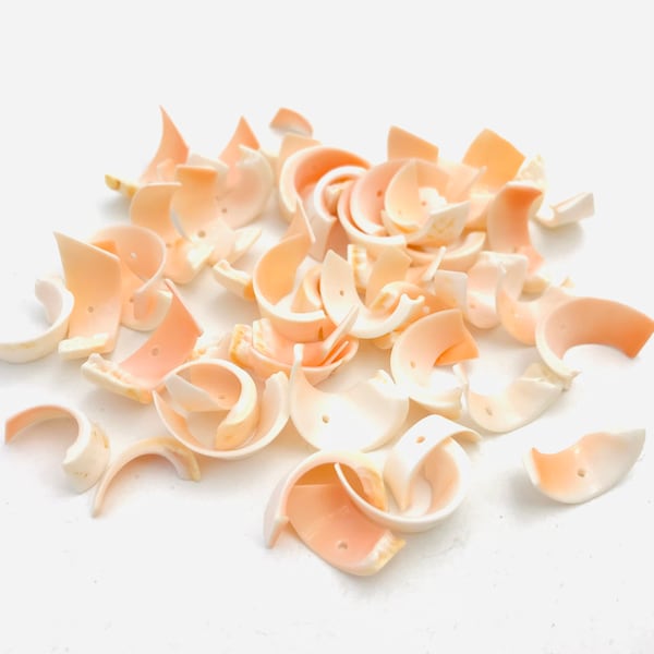 Coquillages percés, 50 pcs, petit coquillage rose, coquillage pour loisirs créatifs, création bijoux, collier coquillage, activité manuelle