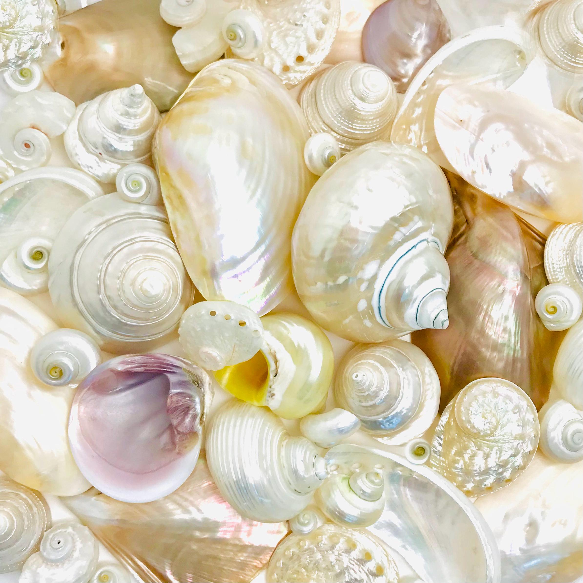 Boîte à Bijoux Vintage En Nacre Et Métal Argenté - Pilulier Coquillage - Occasion