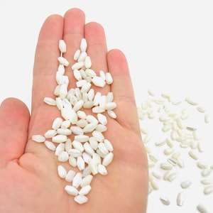 Small natural mother-of-pearl beads, mother-of-pearl for creating jewelry necklaces, white pearls, creative leisure pearls, shell pearl