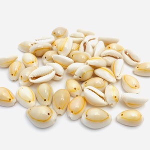 Pierced cowrie shell, porcelain, white shell, yellow shell, shell for jewelry and crafts, small shell
