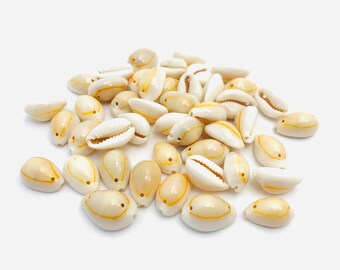 Perforated cowrie shell, porcelain, white shell, yellow shell, shell for jewelry and crafts, small shell