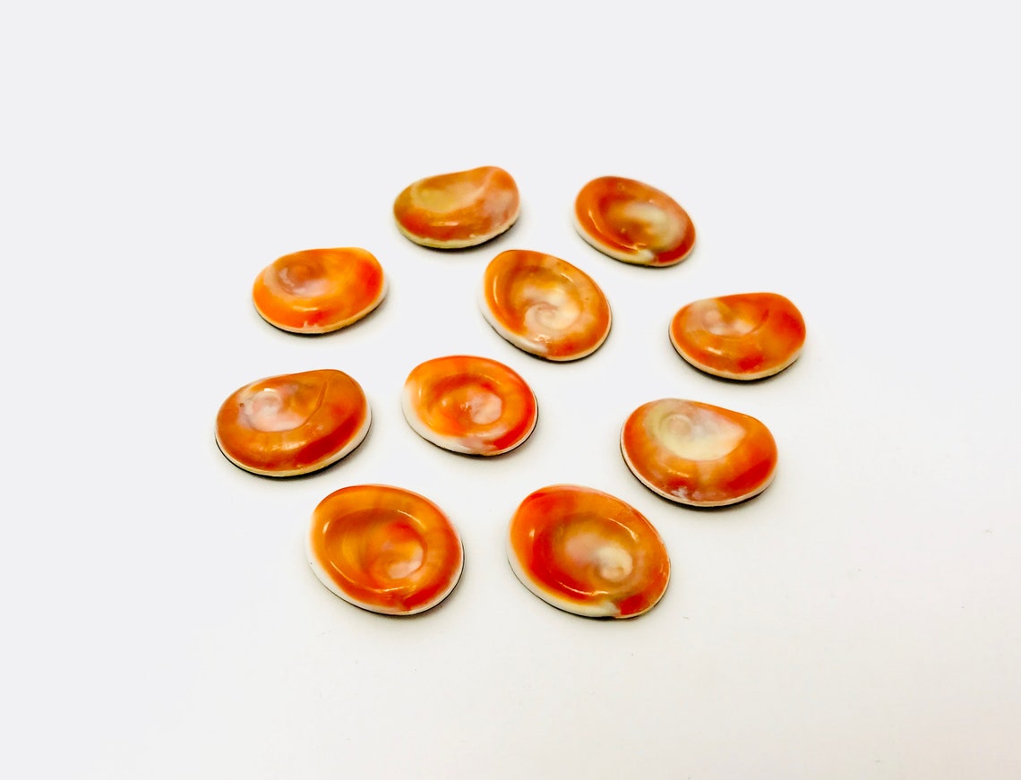 Œil de sainte lucie yeux sainte lucie œil de shiva - Etsy France