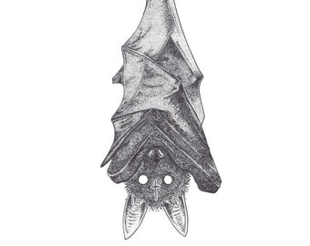 Hanging Bat