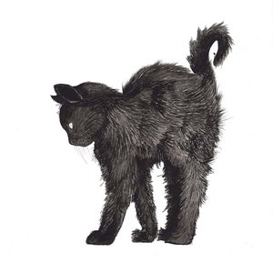 Black Cat image 1