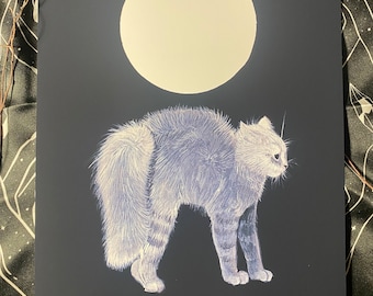 Può includere: Un gatto bianco con una coda folta si trova di fronte a una grande luna bianca su uno sfondo nero. Il gatto guarda a destra dell'immagine.