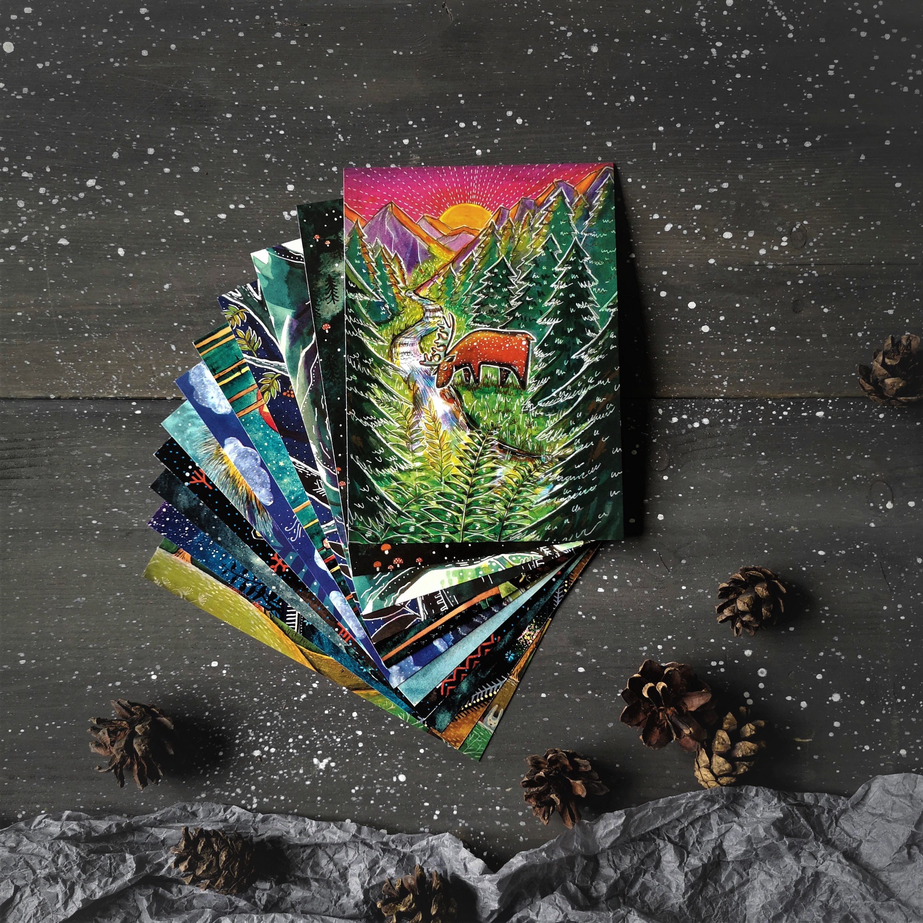 Wild forest postcard set / 11 different original postcards / Unused p…