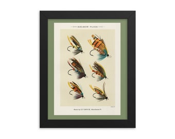 Framed Salmon Flies