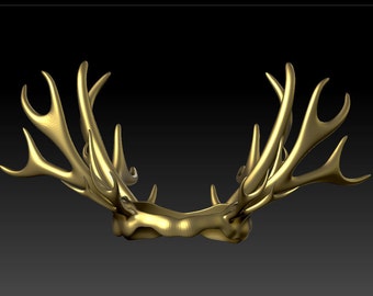 May include: A gold-colored crown made of antlers. The crown is a circular shape with a smooth, polished surface.
