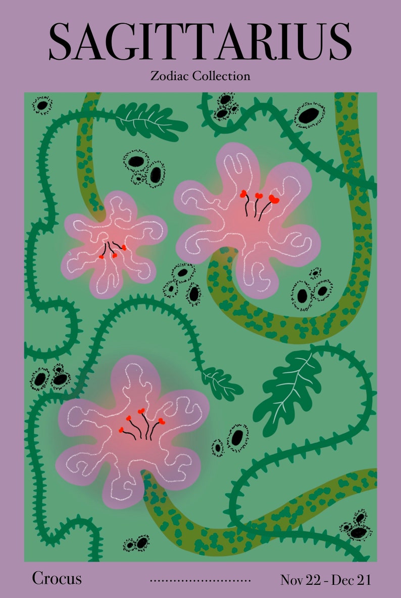 Sagittarius Flower Art Print Zodiac Collection A4/A3 Etsy
