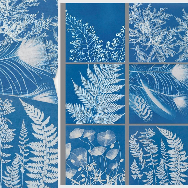 Serviettenset, Anna Atkins, Sechs verschiedene Servietten, Wabi Sabi, Leinenservietten, Fotografie, Stoffservietten, 100 % Leinen, passendes Serviettenset