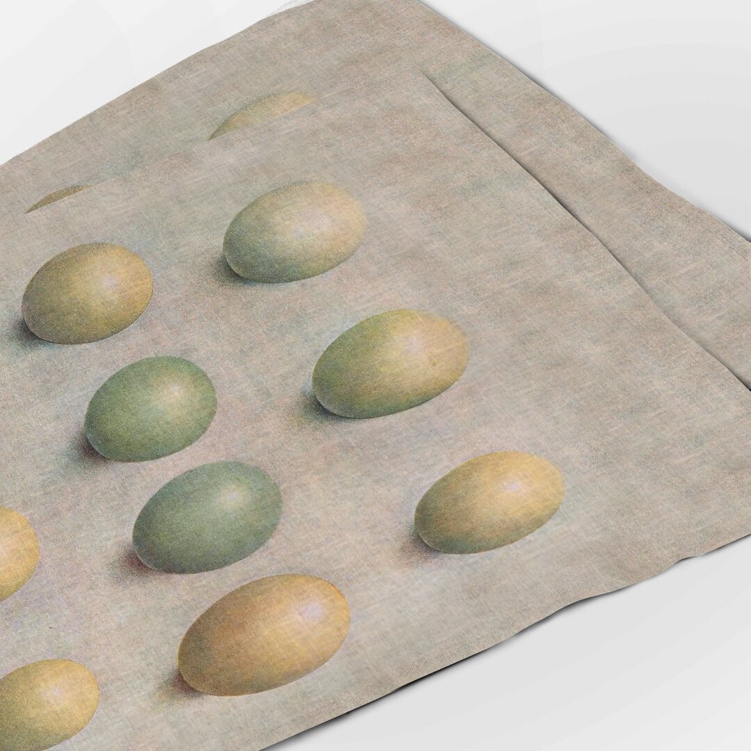 Placemats Set, Eggs of British Diving Ducks 1913, Henrik Gronvold