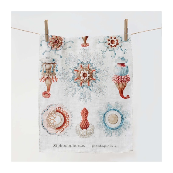 Towel, Ernst Haeckel, Siphonophorae – Staatsquallen, Art of Science, Botanic towel, linen towel, kitchen towel, 100% linen, tea towel