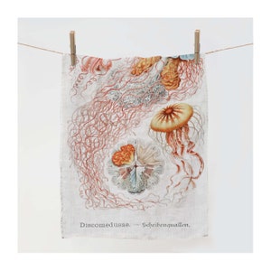 Towel, Discomedusae, Art of Science, Botanic towel, linen towel, kitchen towel, 100% linen, tea towel, vintage towel, fabric towel