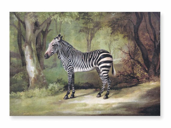 Linen placemats, Zebra (1763) George Stubbs, fabric placemats, 100% linen, vintage placemats, zebra decor