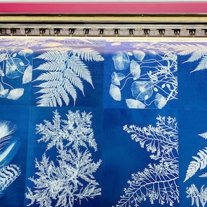 Anna Atkins, Six placemats set, linen placemats, wabi sabi, blue placemats set, fabric placemats