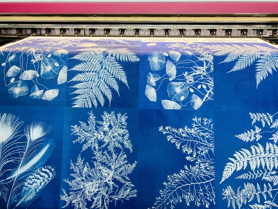 Anna Atkins, Six placemats set, linen placemats, wabi sabi, blue placemats set, fabric placemats