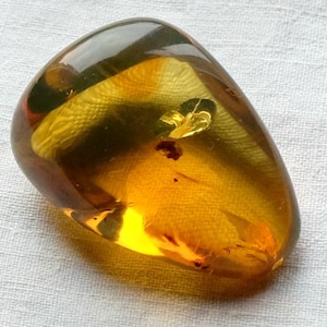 Yellow amber pebble with inclusion - Mexican amber pebble 10 g - 37 mm x 25 x 20