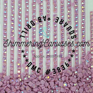 Puede incluir: Primer plano de taladros cuadrados de pintura de diamantes de color rosa. Los taladros están dispuestos en filas y columnas, con algunos taladros sueltos esparcidos alrededor. El texto "Shimmering Canvases.com" es visible en la imagen, junto con el texto "Approx. 2900 Drills" y "DMC #3836".