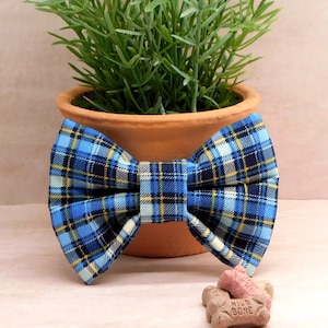 May include: A blue plaid bow tie with yellow and white accents. The bow tie is in front of a terracotta pot with a green plant. A dog treat with the words "MILK BONE" is in front of the bow tie.
