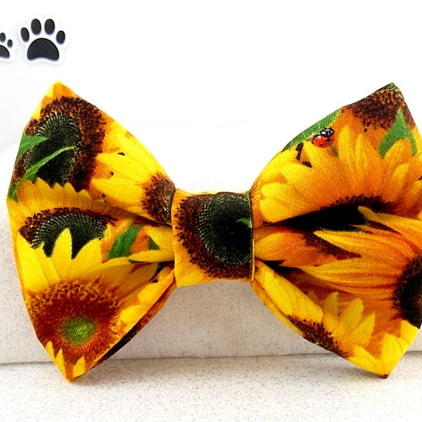Sunflower Cat Etsy