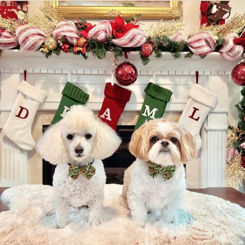 May include: Two small dogs with white fur sitting side by side, each wearing a green, red, and gold plaid bow tie. The dogs are positioned in front of a fireplace decorated with white, green, and red Christmas stockings labeled D, I, A, M, L.