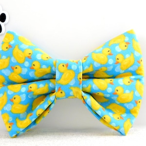 May include: A blue bow tie with a pattern of yellow rubber ducks and white bubbles.