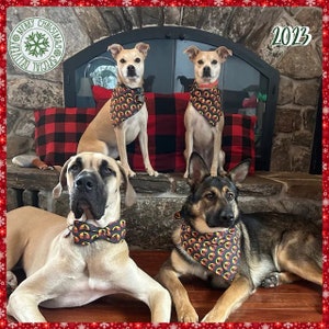 May include: Four dogs posing in front of a fireplace. Two smaller dogs sit wearing patterned bandanas, while a large tan dog wears a matching bowtie and a German Shepherd wears a matching bandana. The image includes text reading Merry Christmas Special Delivery and 2023.