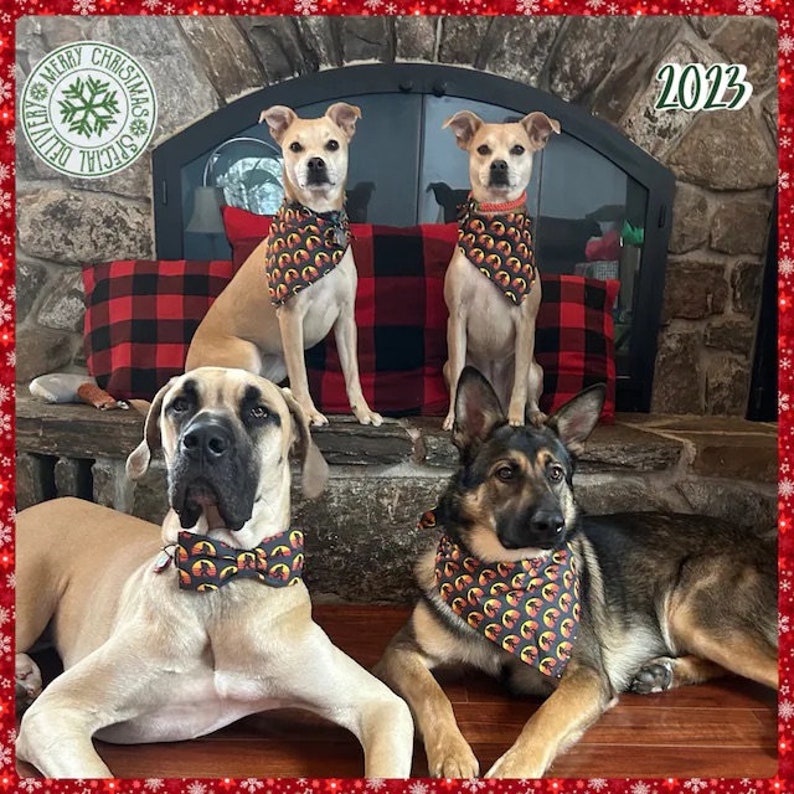 May include: Four dogs posing in front of a fireplace. Two smaller dogs sit wearing patterned bandanas, while a large tan dog wears a matching bowtie and a German Shepherd wears a matching bandana. The image includes text reading Merry Christmas Special Delivery and 2023.