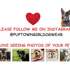 May include: A white graphic sign featuring a red heart, an illustration of a dog, and the text: PLEASE FOLLOW ME ON INSTAGRAM: @PUPTOWNGIRLDOGWEAR. I LOVE SEEING PHOTOS OF YOUR PETS. Below are five small photographs of various dogs wearing bow ties.
