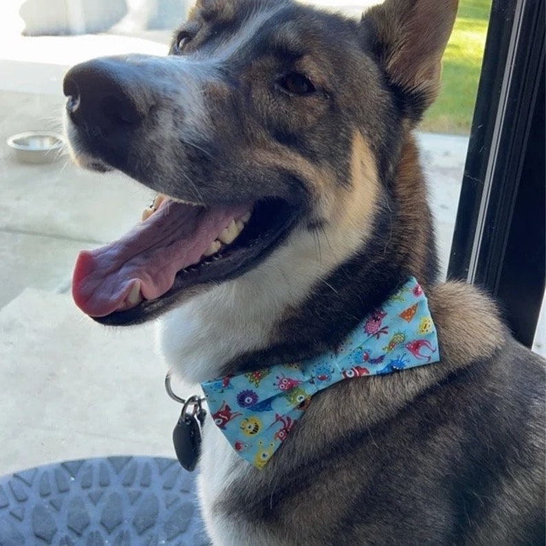 May include: A dog with brown, black, and white fur wearing a light blue bow tie featuring a colorful pattern of small cartoon monsters. The dog has its mouth open with its tongue hanging out, and a black circular tag hangs from its collar.
