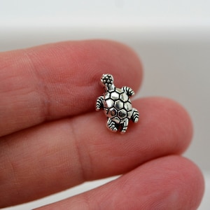 May include: A silver turtle charm with a detailed shell design.